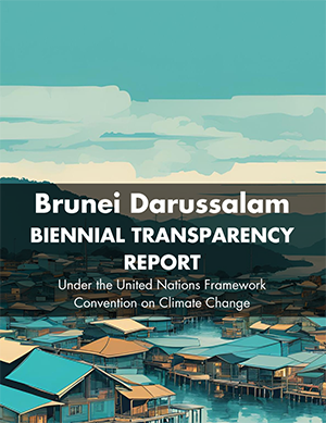 2024 Biennial Transparency Report (BTR). BTR1, 2025