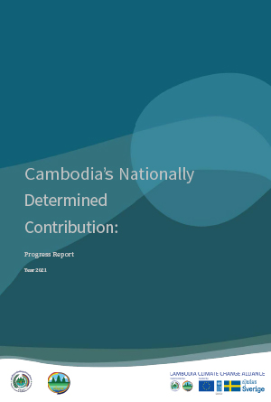 Brief NDC Annual Report, 2021